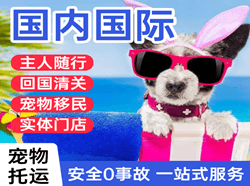 呼和浩特航空物流国际宠物托运 【国